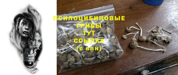 хмурый Кулебаки