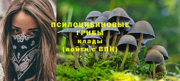a pvp Кукмор
