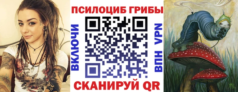 Галлюциногенные грибы MAGIC MUSHROOMS  Купить закладки  Александровск 